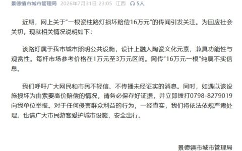江西景德镇回应“一根瓷柱路灯损坏赔偿16万元”：不实